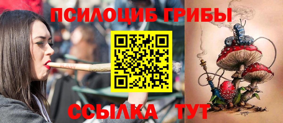 Псилоцибиновые грибы Psilocybine cubensis Вольск